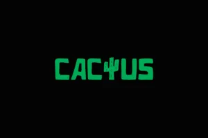 Cactus Casino Schwesterseiten: Beste Sites wie Cactus 2024