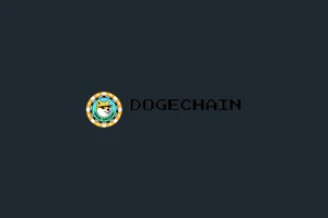 Dogechain Casino Test: Beste Sites wie Dogechain Casino