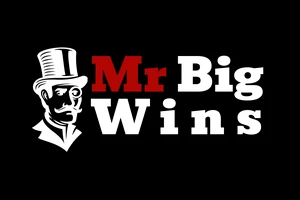 Beste Seiten wie Mr Big Wins Casino 2025 für Kooperationen