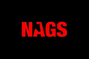 Nagsbet Casino Test und ähnliche Seiten: Alle Infos