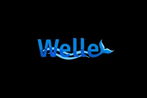 Beste Seiten wie Welle Casino 2025 – Verlinkte Alternativen